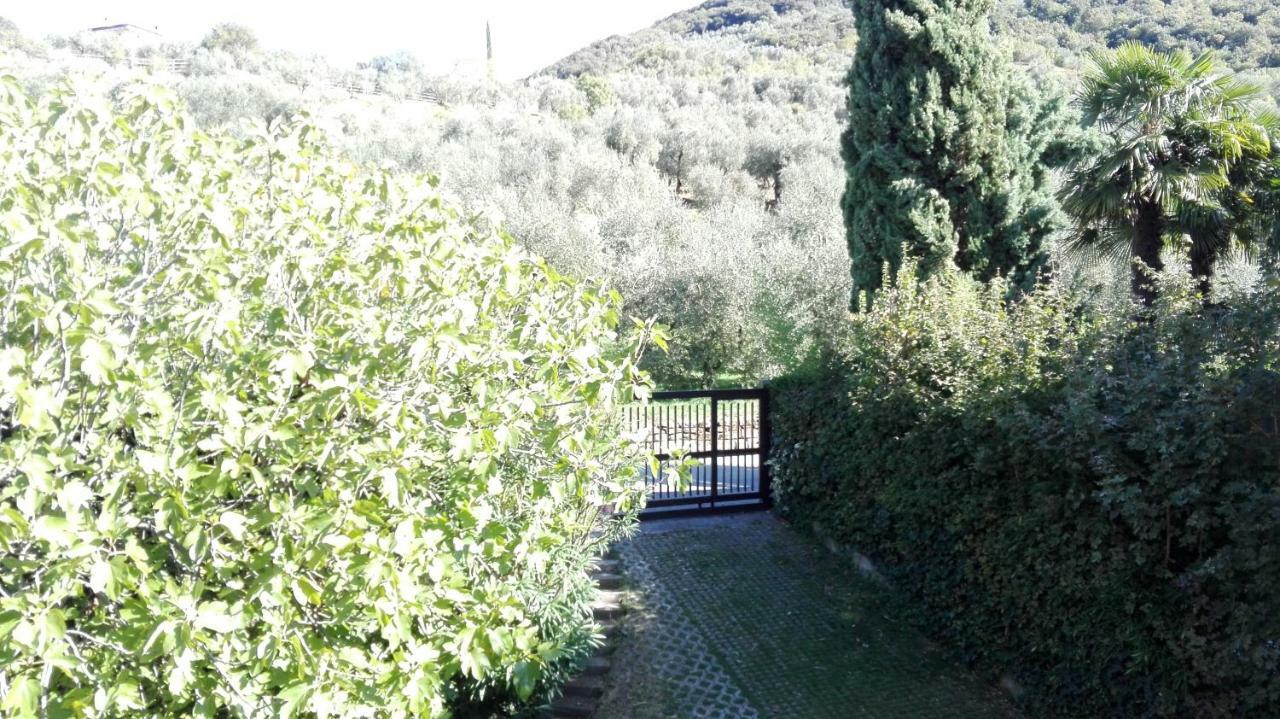 شقة Terrazza Sugli Ulivi ريفا ديل غاردا المظهر الخارجي الصورة
